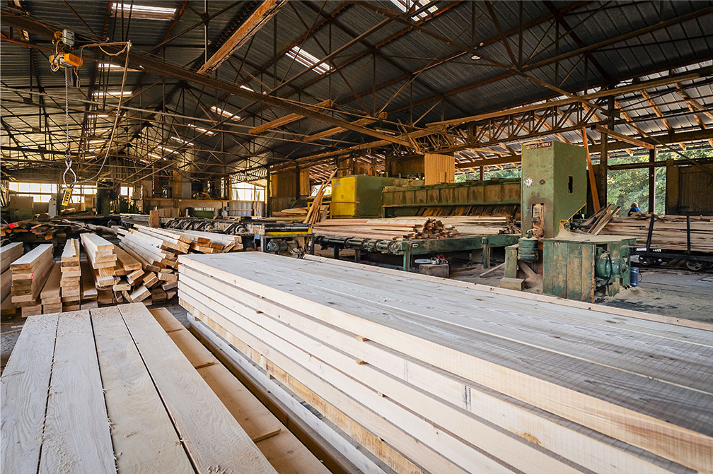 sapin épicéa vosges Bastain Bastaing Bastin Basting